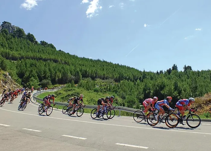 One-bedroom With Sea View In Vakantiehuis